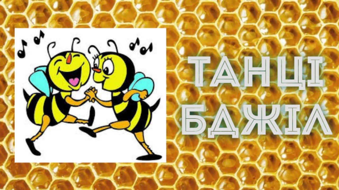 YouTube відео