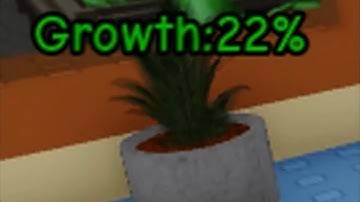 Roblox Raise A Floppa 2 Catnip Plant Seed Glitch