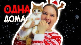 Одна Дома На Новый Год Одна Дома На Новый Год