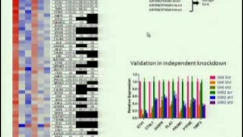 MSKCC GIST Conference - Part 2.wmv