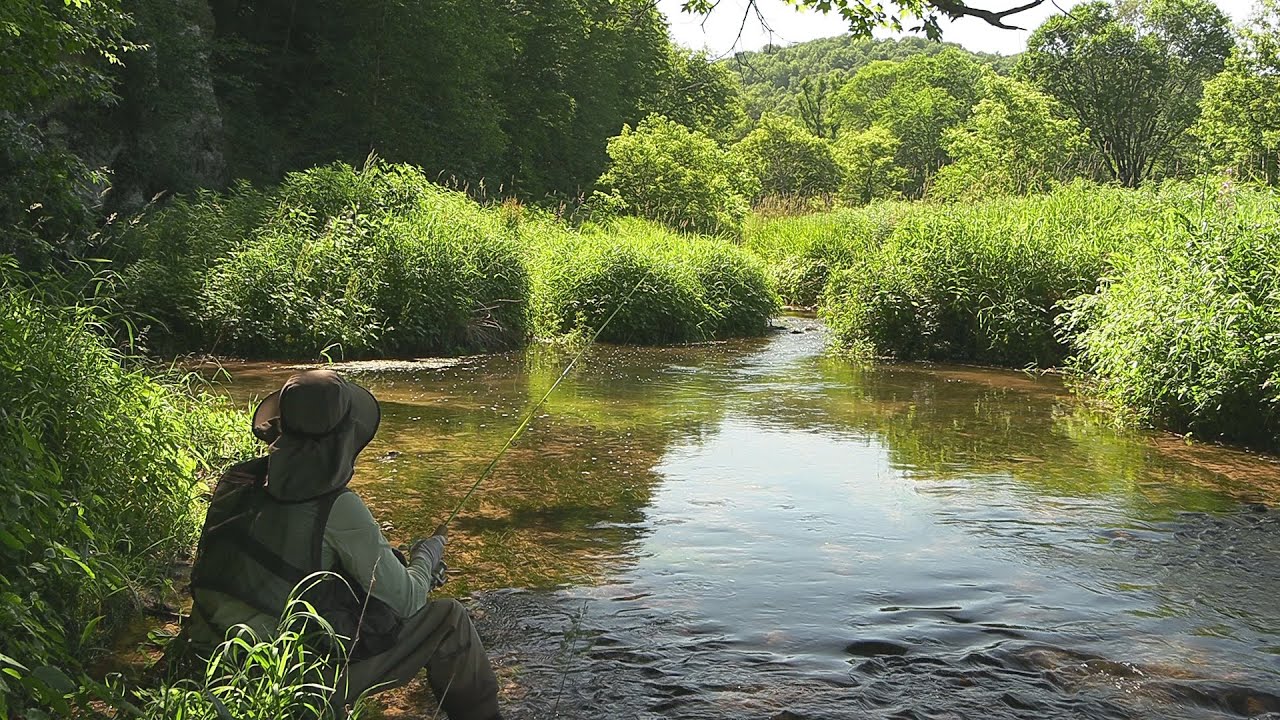 Fly Fishing North Branch Crooked Creek, Minnesota