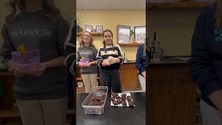 Mady’s Brownie Bake Experiment 10/23/25 #experimentalthursdays #science #experiements #brownies
