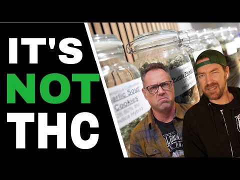 Cannabis Dispos Are Misleading Buyers But Growers Know the Truth