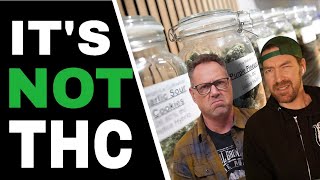 Cannabis Dispos Are Misleading Buyers But Growers Know the Truth