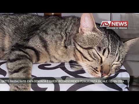 GATTO MASSACRATO: ENPA DENUNCIA E CHIEDE RICONOSCIMENTO PERICOLOSITÀ SOCIALE  | 12/09/2024