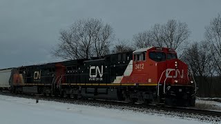 CN   M   396