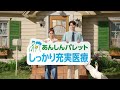 ほしい安心で「生きる」を彩る保険 あんしんパレット　大人なんだから篇　字幕