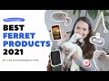 Top RECOMMENDED FERRET Products 2021 | The Modern Ferret