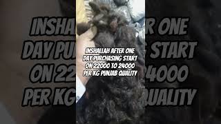 Multan a one speaker best hair quality rate