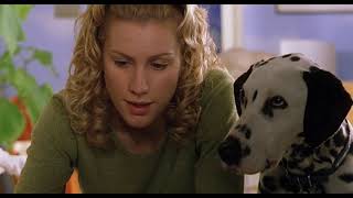 102 dalmatians (2000) - dottie gives birth