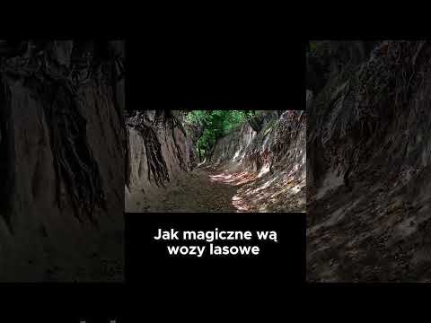 Szukasz miejsca pełnego