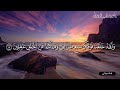سورة المؤمنين ولقد خلقنا الانسان من سلالة من طين القارئ ياسر الدوسري راحة نفسية