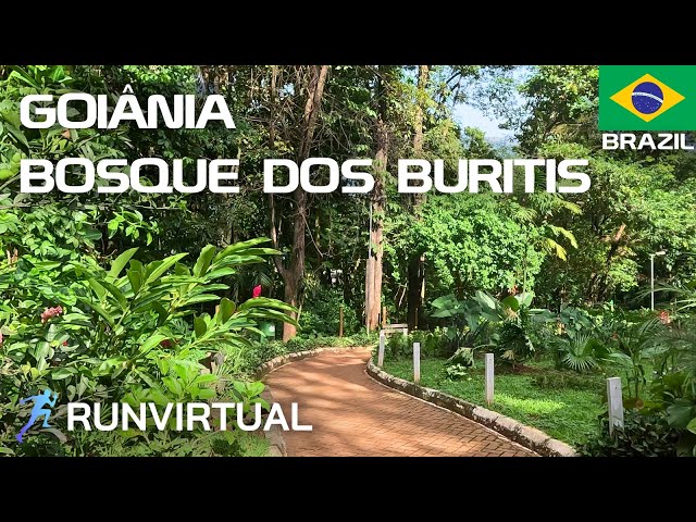 Travel vlog - Virtual Run: Bosque dos Buritis - Urban Park in Goiânia, Brazil