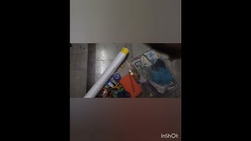 My project |Animals and their homes