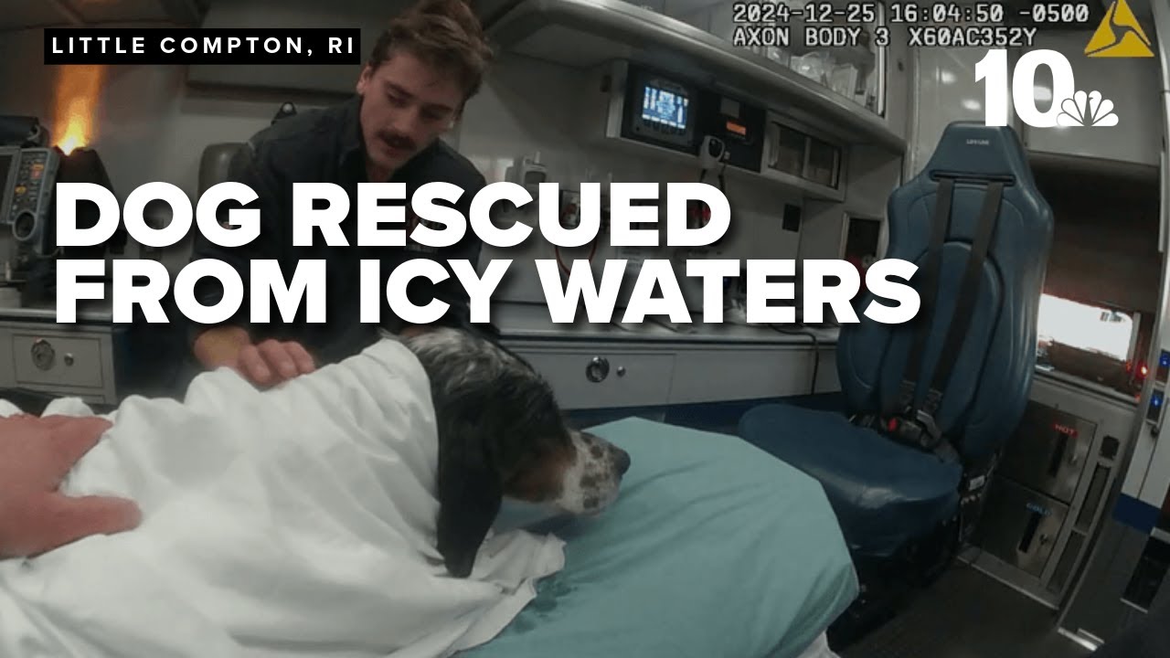 Police bodycam video of dog rescued from icy waters on Christmas Day ...