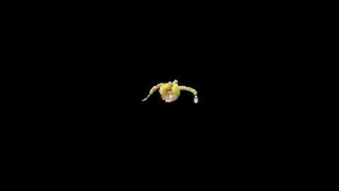 Spore Creature Creator Video- Head Crab