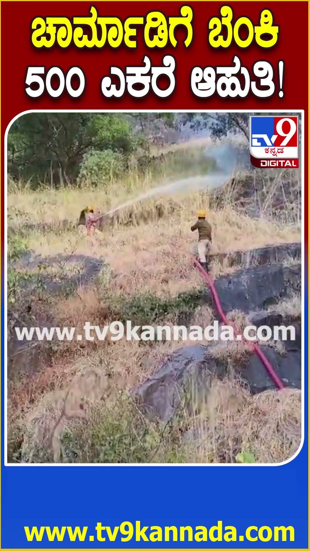 Charmadighat fire: ಚಾರ್ಮಾಡಿ ಘಾಟ್ ಅರಣ್ಯಕ್ಕೆ ಬೆಂಕಿ ಇಟ್ಟ ಕಿಡಿಗೇಡಿಗಳು, 500 ಎಕರೆ ಅರಣ್ಯ ನಾಶ | #TV9D