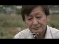 Japanese tsunami evacuation what made the difference between life and death