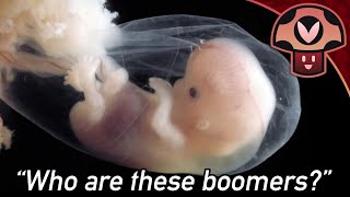 [pre-stream] Fetus In Chat