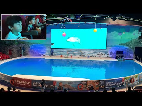 Dubai Dolphinarium – Aubrey and Maynard