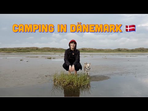WOHNMOBIL-TOUR DURCH DÄNEMARK 🚌🇩🇰 | KUDOKii