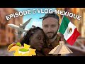 Vlog mexique  pisode 5 byebye playa del carmen dpart pour tulum dsillusion