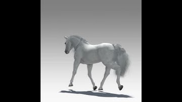 Rigged And Animated Horse.mov