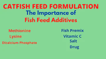 Catfish Feed Formulation| Fish Feed Additives