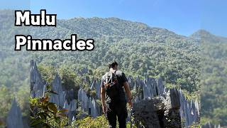 Mulu Pinnacles | Malaysia | 2026