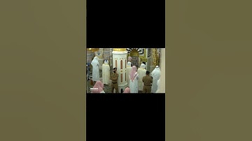 سورة الكوثر بصوت الشيخ صلاح البدير