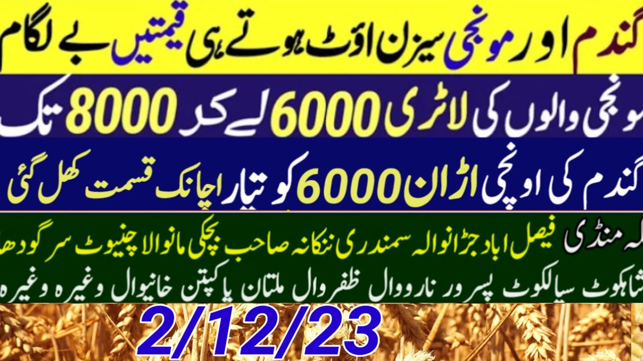 1509 DHAN Ka Rate Today Dhan 1509 Rate Today Munji Rate Today gundam 1509-dhan-ka-rate-today-dhan-1509-rate-today-munji-rate-today-gundam