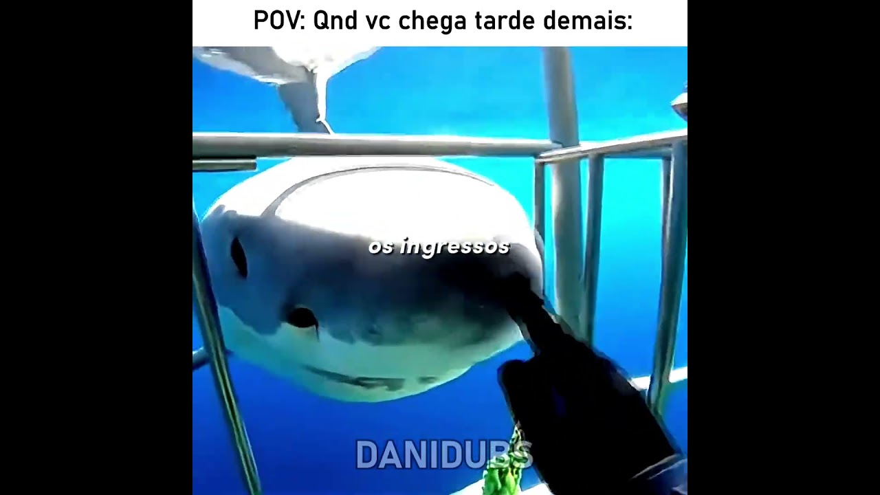 Quando você chega tarde demais 😭 #edit #humor #memes #fyp #animals