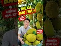 trái cây