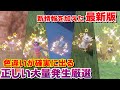 大半の人が間違ってる 色違いを確実に出せる正しい大量発生厳選のやり方/小技を全て解説【ポケモンSV】【ポケモンスカーレット・バイオレット】