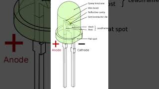 How to determine polarity of a through hole LED