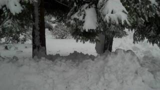 blizzard.MP4