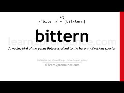 Pronunciation of Bittern | Definition of Bittern