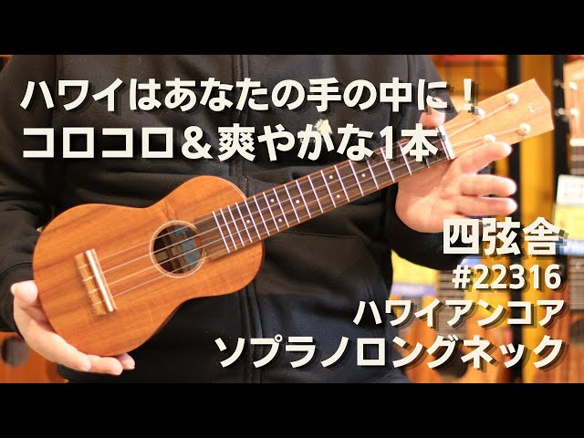 ハワイはあなたの手に！コロコロ＆爽やかな1本！】四弦舎 #22316