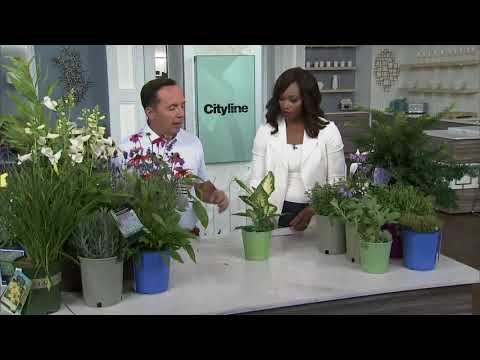 Video: How To Protect Your Child From Poisonous Garden Plants