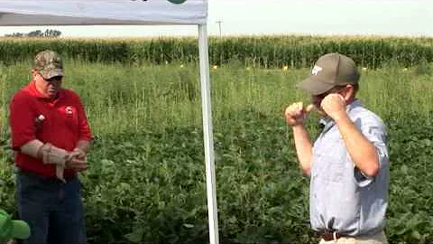 Growing Weed Pressure is Changing Post-Emergence H...