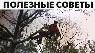 Рекомендации по удалению деревьев возле проводов | Киев | Экомир Украина