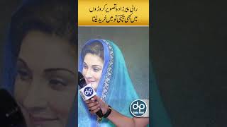 Maryam Nawaz Famous Painting Done By Rabi Pirzada Khokhar Palace Daily Point