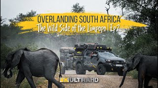 Overlanding South Africa | The Wild Side of the Limpopo | Ep.2 by 4x4ventures 102,228 views 3 years ago 55 minutes