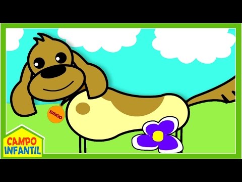 Bingo - Canciones Infantiles Para Niños - Bingo En Español - Bingo Nursery Rhyme - Bingo - Canciones Infantiles Para Niños - Bingo En Español - Bingo Nursery Rhyme