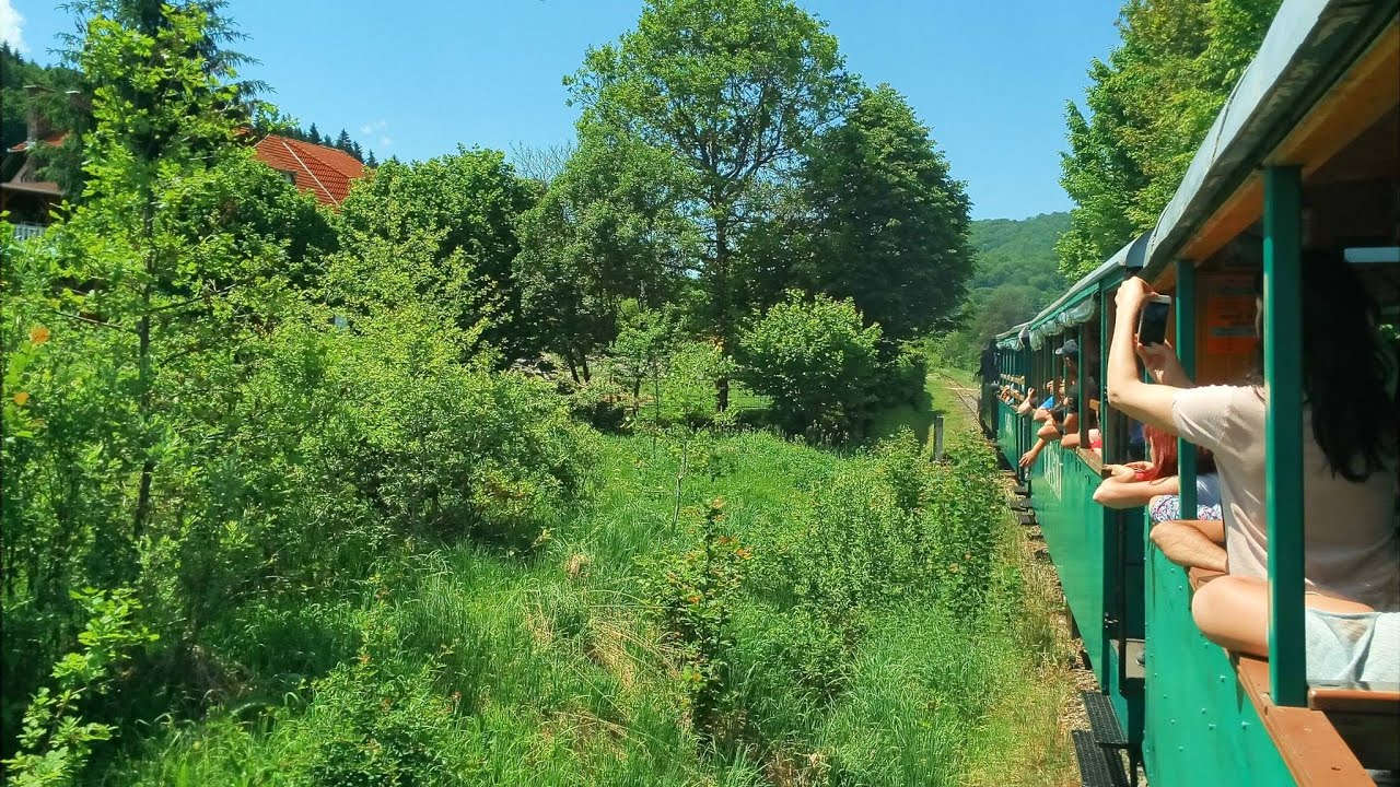 La plimbare cu mocănița  : Câmpu Cetății - Săcădat h - Sovata (gara mică)