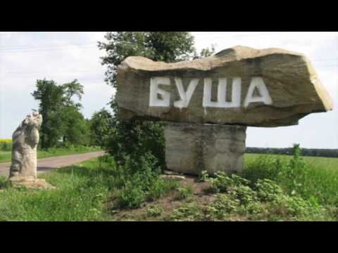 Буктрейлер - "Облога Буші"