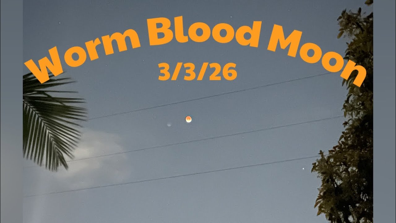 Worm Blood Moon 3/3/26