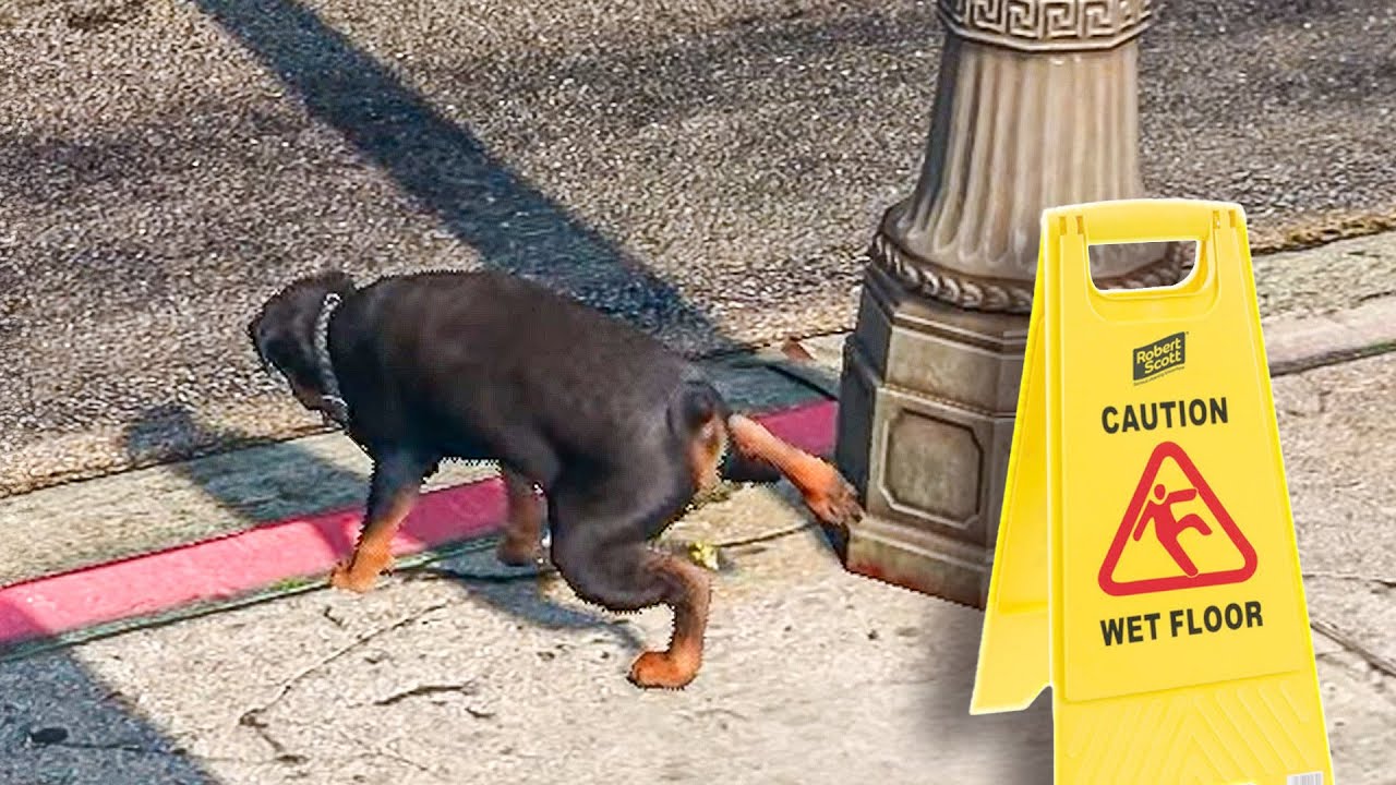 Untrained Chop is a Bad Dog! - DarkViperAU