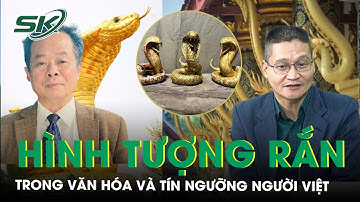 Năm Ất Tỵ, tản mạn về hình tượng rắn và tục thờ thuỷ thần kỳ lạ của người Việt | SKĐS