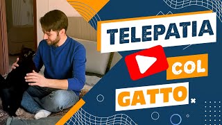 Telepatia col GATTO  Esperimento LA CHIAMATA!